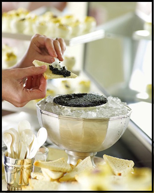 caviar-camillestyles