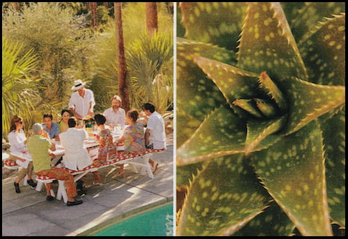 PalmSprings_PartyIdeas_Poolside