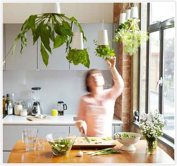 Hanging Herb Garden Indoors Ideas