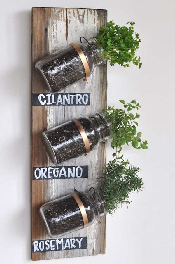 mason jar DIY hanging herb garden indoor plants