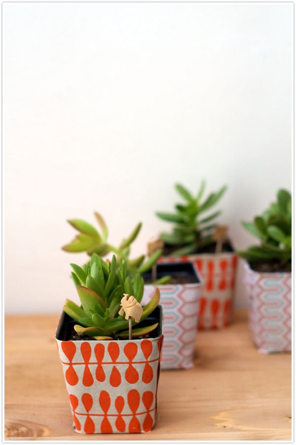 plant succulents present gift wrapper wrapping paper template stencil wrap diy instructions idea