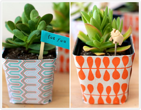 plant succulents present gift wrapper wrapping paper template stencil wrap diy instructions idea