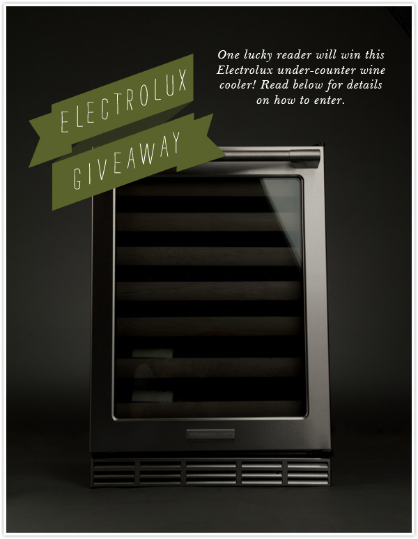 electrolux giveaway from Camille Styles