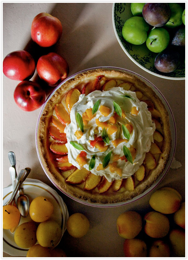 Summer Peach and Vervain Tart Recipe | By Mimi Thorisson for Camille Styles