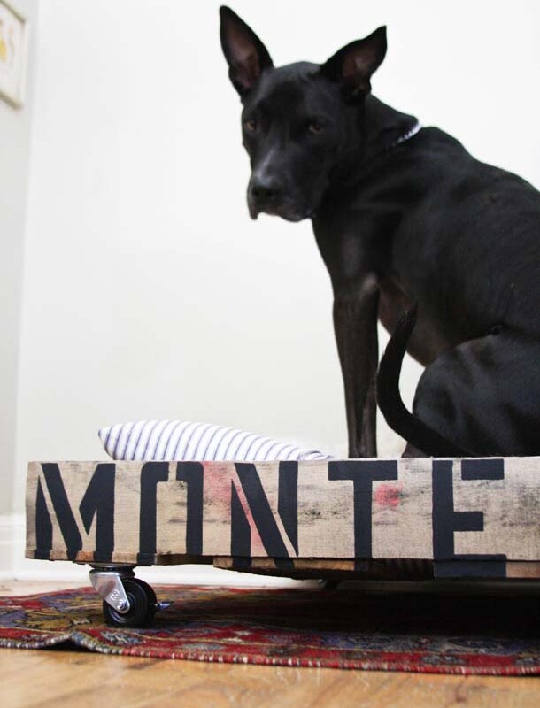DIY Dog Bed from a Pallet | Claire Zinnecker for Camille Styles