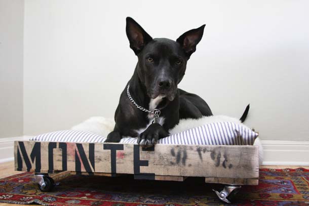 DIY Dog Bed from a Pallet | Claire Zinnecker for Camille Styles