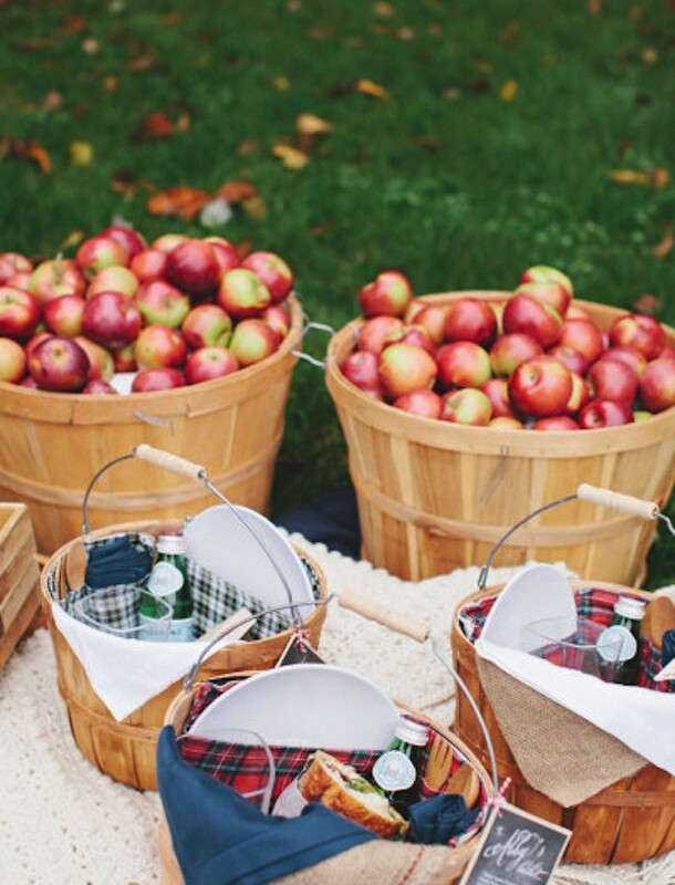 apple picking party