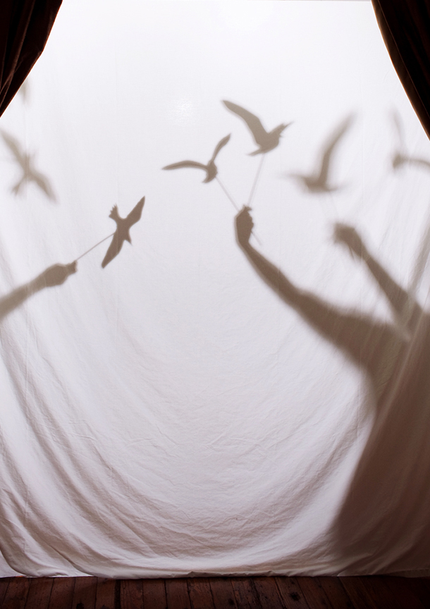 "The Birds" Shadow Puppets DIY | Camille Styles