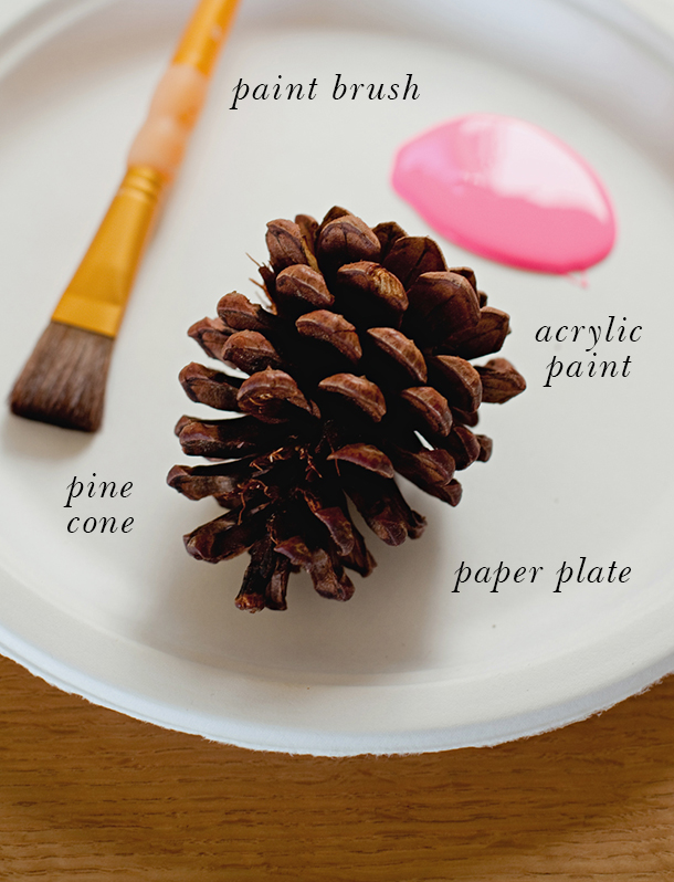 Neon Dipped Pine Cone Placecard DIY | Camille Styles