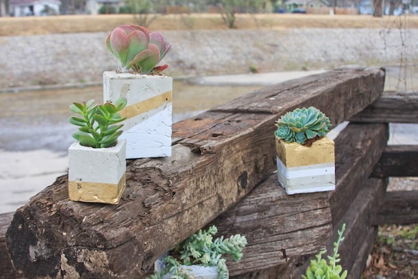 DIY Cement Planter | Claire Zinnecker for Camille Styles