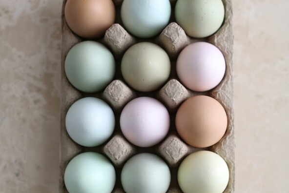 Easter Egg Cake, Elizabeth Messina | Camille Styles