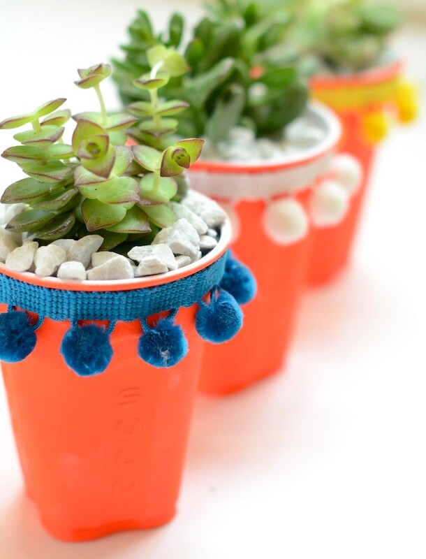 DIY Solo Cup Succulent Planters | Camille Styles