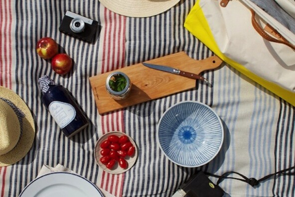 striped picnic blanket from the new domestic shop | Camille Styles