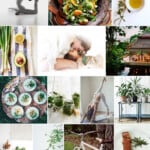 Green Wellness Inspiration | Camille Styles