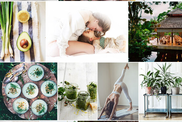 Green Wellness Inspiration | Camille Styles