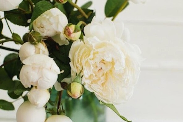 white peonies | Camille Styles