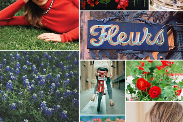 Texas Wildflowers Inspiration | Camille Styles