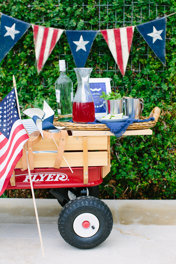 A Patriotic Pool Party Camille Styles