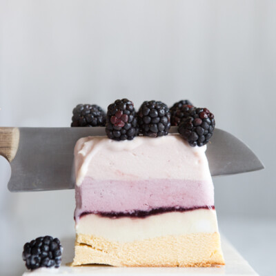 Summer Berry Ice Cream Cake | Camille Styles