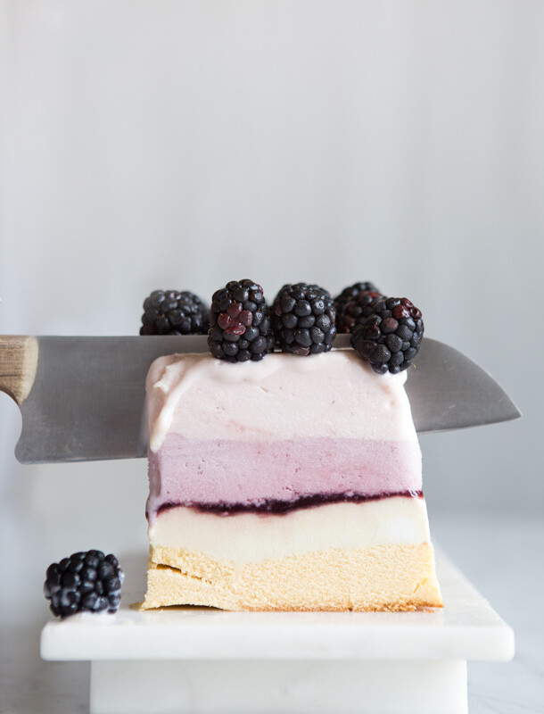 Homemade Blueberry Ice Cream – DarryCakes