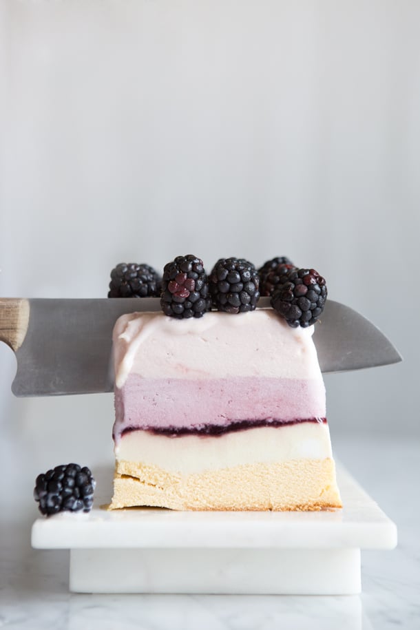 Summer Berry Ice Cream Cake | Camille Styles