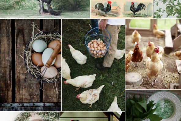 Fowl Play Inspiration Board