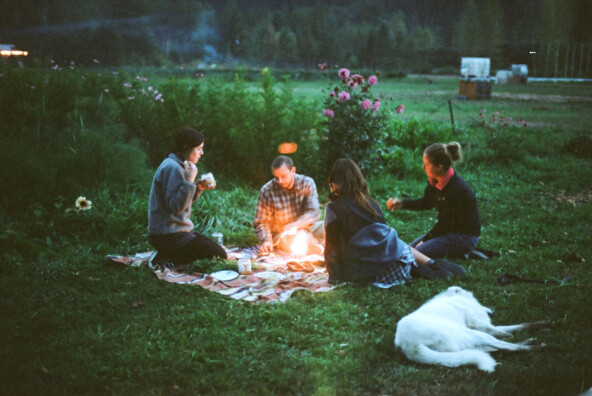 evening picnic