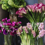 Winston flowers by M Piazza, hyacinths and anemones