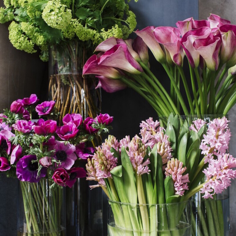 Winston flowers by M Piazza, hyacinths and anemones