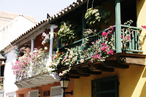 Colorful Homes In Cartagena With Balconies Adorned With Lush Pink Flowered Vines And Ferns