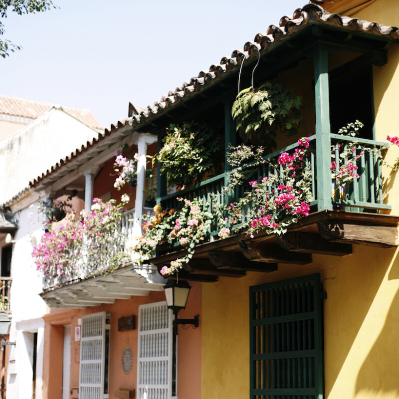 Colorful Homes In Cartagena With Balconies Adorned With Lush Pink Flowered Vines And Ferns