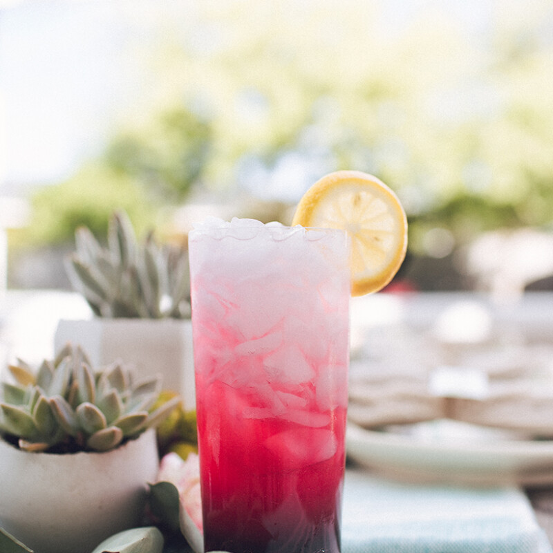 pink icy cocktail & succulents for summer party