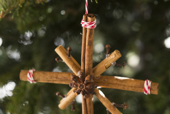 DIY Spice Christmas Tree Ornament