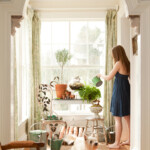 sunny foyer with plants