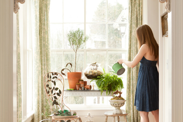 sunny foyer with plants