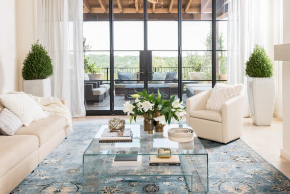 Blue Exotic Rug in living room of Camille Styles