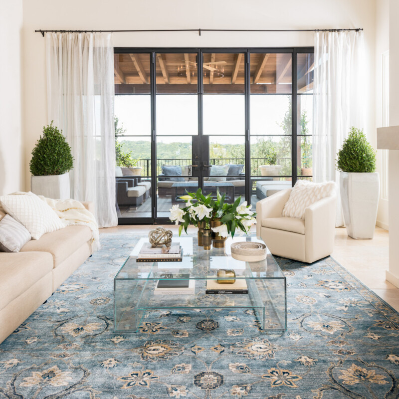 Blue Exotic Rug in living room of Camille Styles