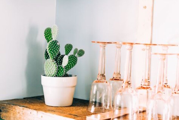 open kitchen shelving with cactus and pretty glassware