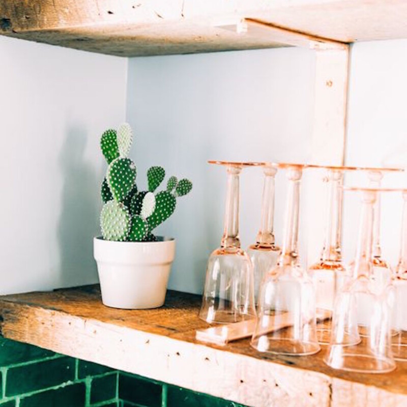open kitchen shelving with cactus and pretty glassware
