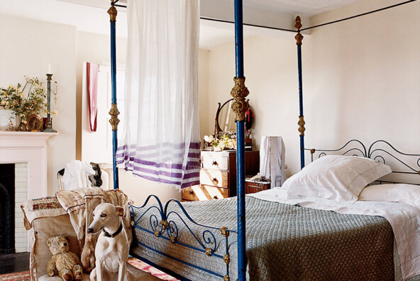 iron canopy bed