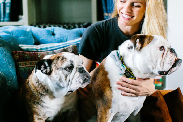 brooklyn decker dog pets