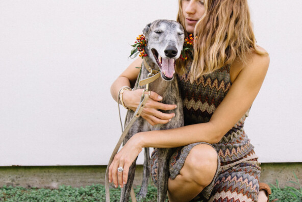 a greyhound named aqua girl