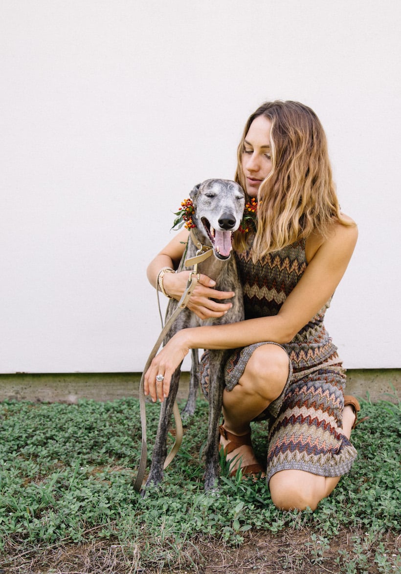 a greyhound named aqua girl