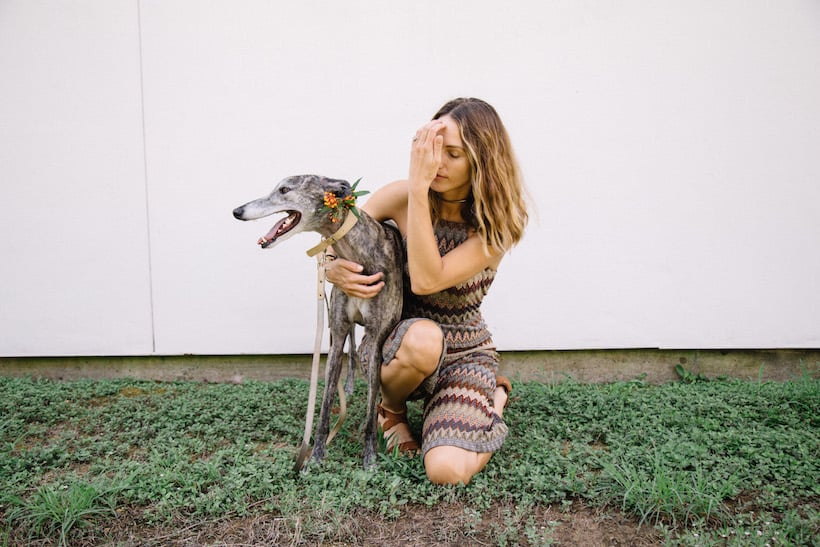 a greyhound named aqua girl