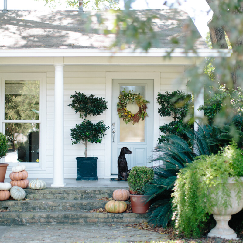 amazing front porch decor for fall