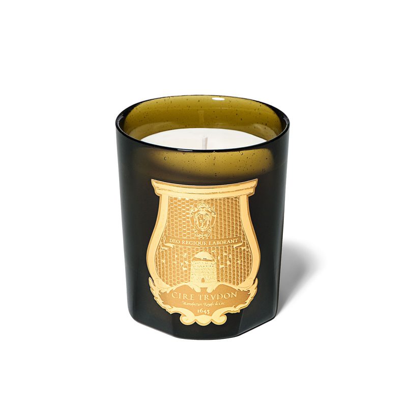 The Best Scented Candles According to our Experts - Camille Styles