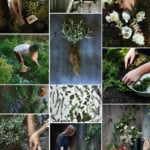 Garden Mood Board