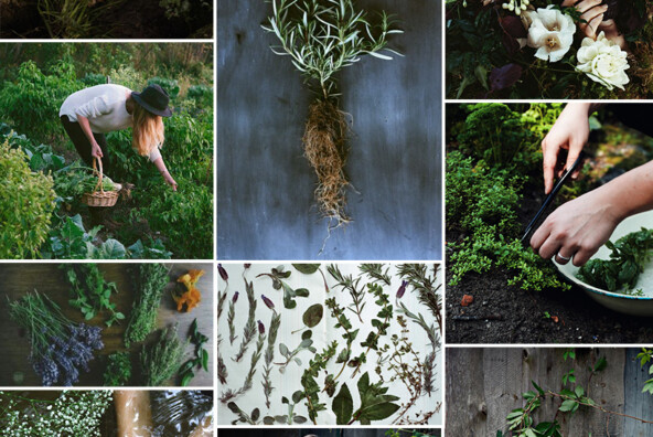 Garden Mood Board