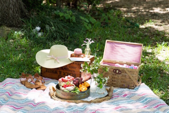 summer picnic