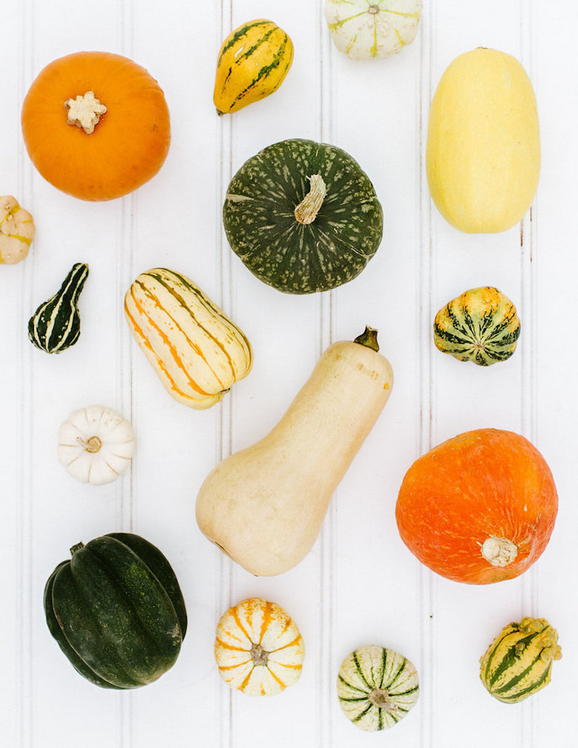 your guide to winter squash!